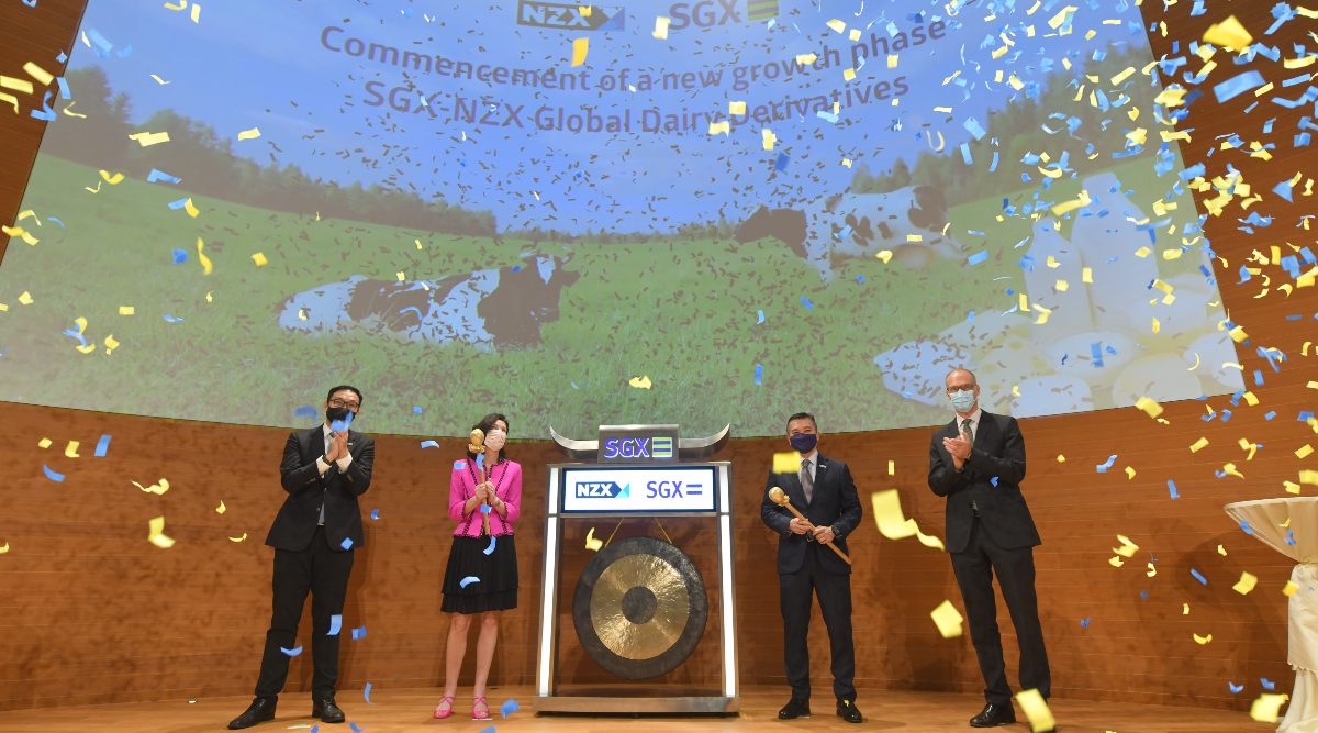 SGXNZX's global dairy derivatives go live on SGX on Nov 29